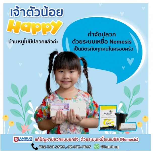 กำจัดปลวก ไม่ใช้สารเคมี I AM BUG
